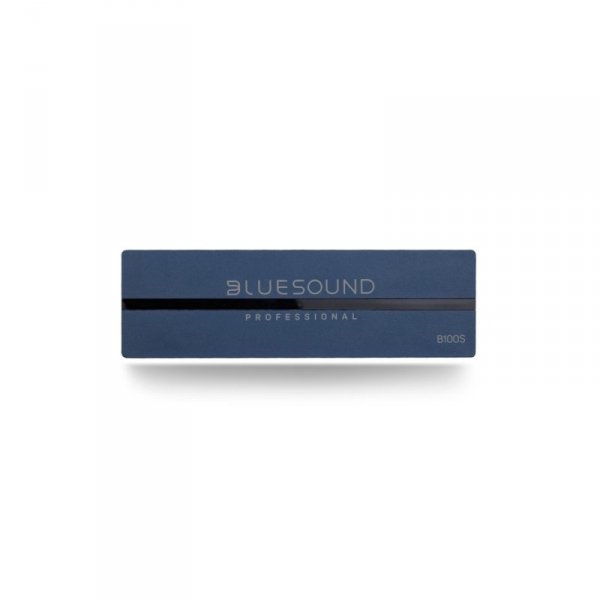 Bluesound Professional Odtwarzacz sieciowy B100S stereo/streaming/źródło audio