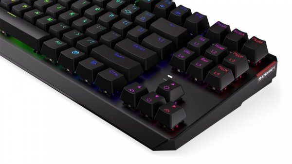 Endorfy Klawiatura gamingowa - Thock TKL Kailh RD RGB