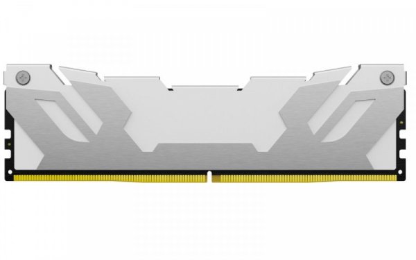 Kingston Pamięć DDR5 Fury Renegade 64GB(2*32GB)/6000 CL32 biała