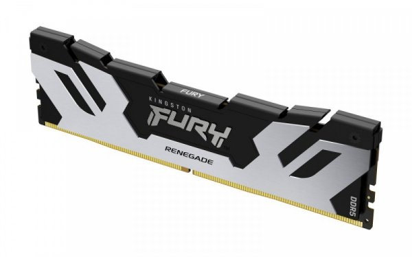 Kingston Pamięć DDR5 Fury Renegade 48GB(1*48GB)/6400 CL32 czarno-srebrna