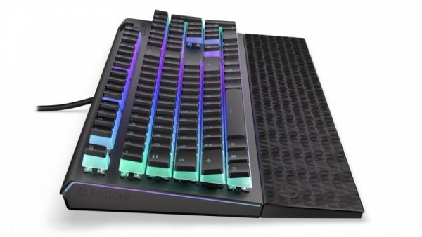 Endorfy Klawiatura Omnis Pudding Kailh Brown RGB