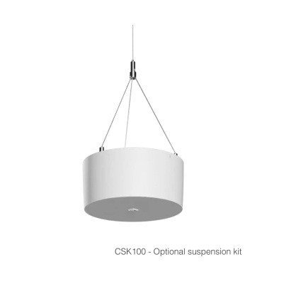 AUDAC Głośnik naścienny NELO706I/W 6,5&quot; Biały