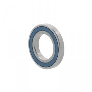 6016 -2RS1C3