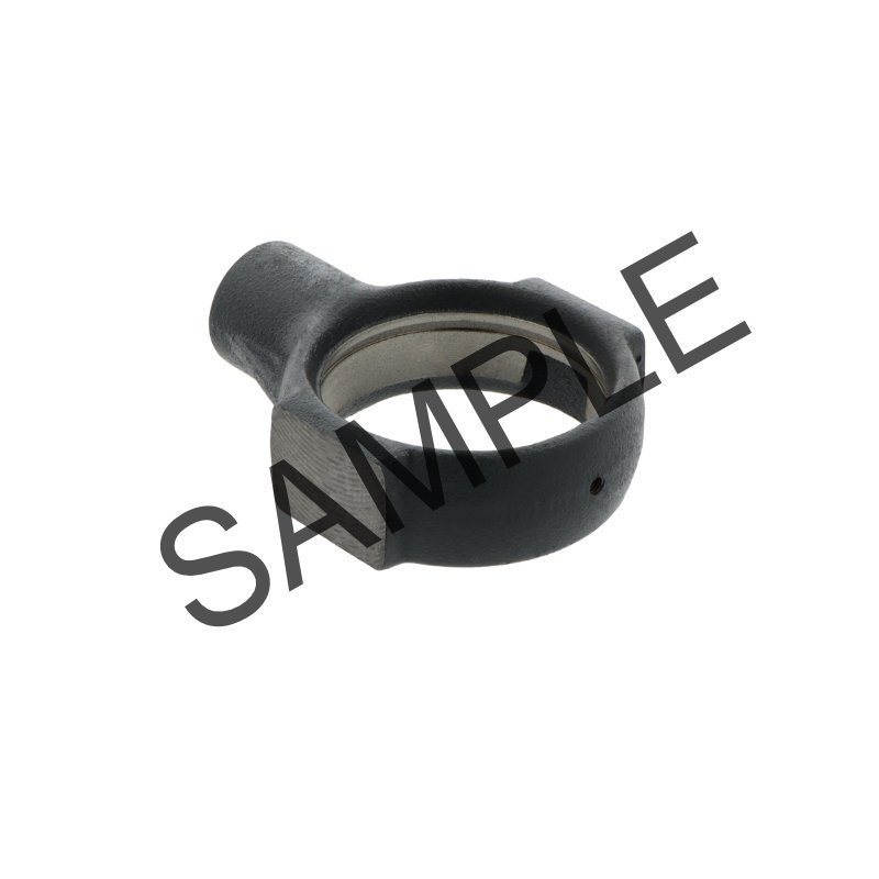 FS309