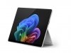 Microsoft Surface Pro 11 Snapdragon X Plus^16GB^256^Platinium^ZIK-00006