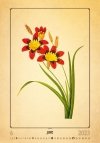 Kalendarz ścienny wieloplanszowy Herbarium 2023 - czerwiec 2023