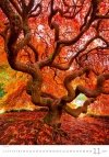 Kalendarz ścienny wieloplanszowy Trees 2024 - listopad 2024