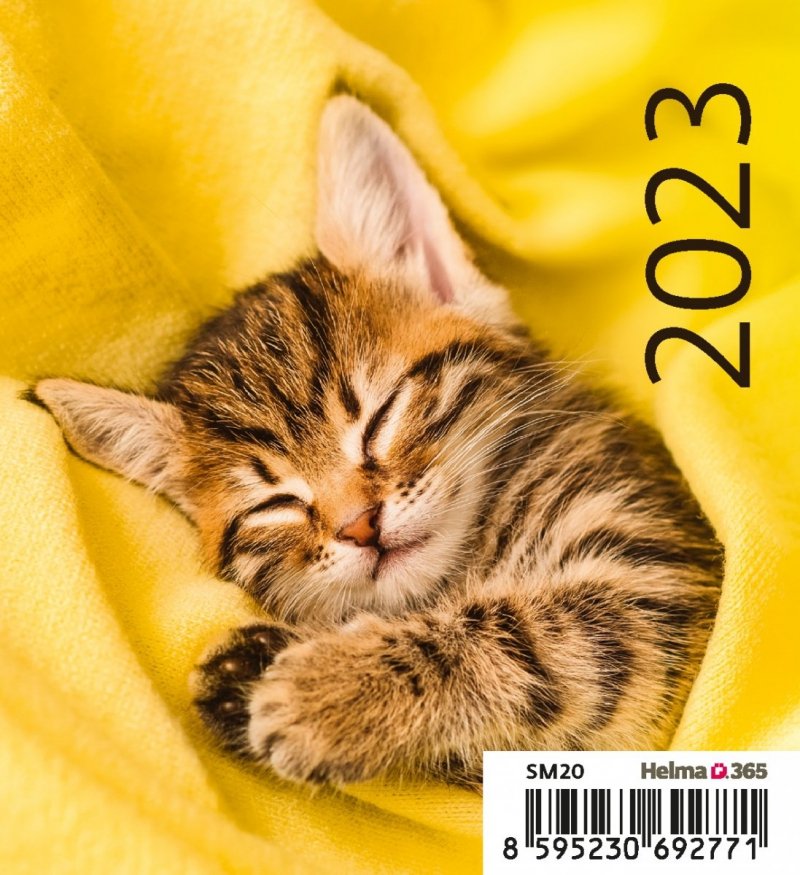 Kalendarz biurkowy 2023 Kotki (Kittens) - okładka