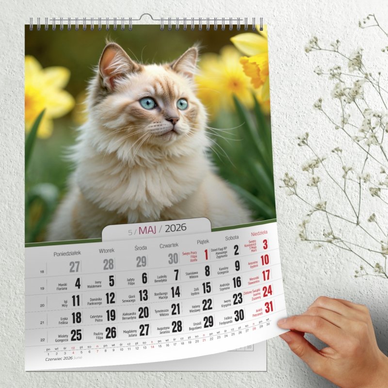 kalendarz ścienny 2026 dla miłośników kotków