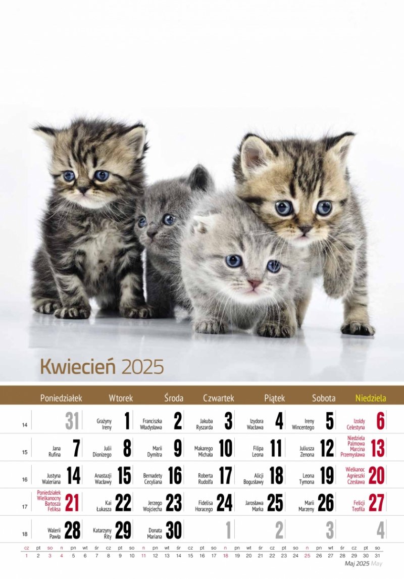 Kalendarz ścienny wieloplanszowy KOTY 2025 - kwiecień 2025