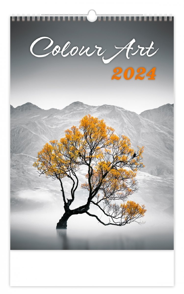 Kalendarz ścienny wieloplanszowy Colour Art 2024 - okładka