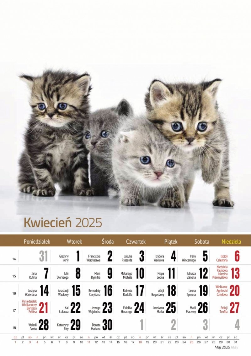 Kalendarz ścienny wieloplanszowy A4 KOTY 2025 - kwiecień 2025