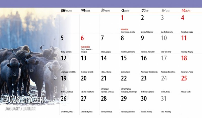kalendarz na biurko na rok 2026