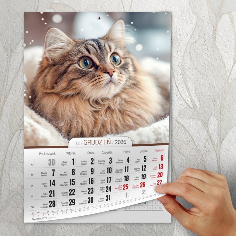 Kalendarz ścienny wieloplanszowy A4 KOTY 2026