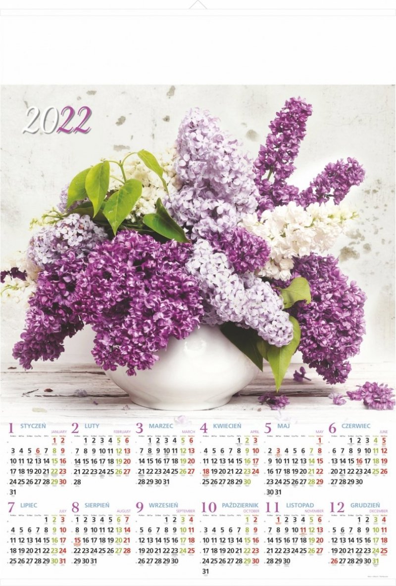 Kalendarz plakatowy exclusive 2022 B1/29Kwiaty bzu