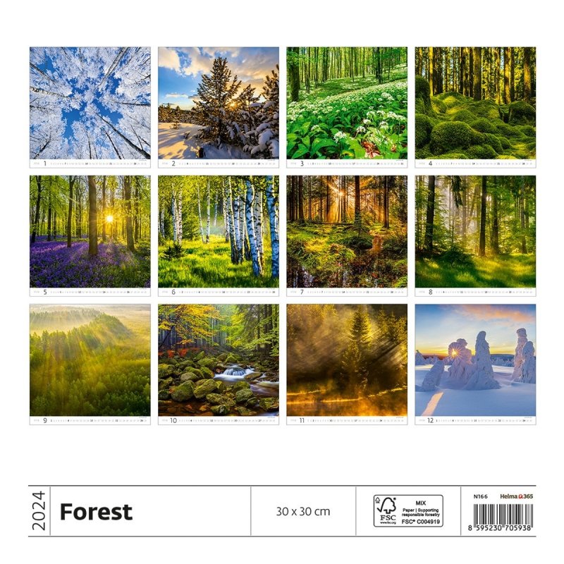 Kalendarz ścienny wieloplanszowy Forest 2024 - okładka tył 