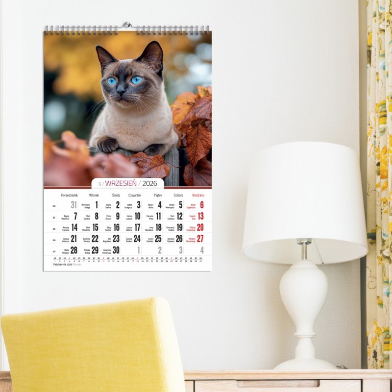 wieloplanszowy kalendarz do powieszenia na ścianie z ujęciami kociaków