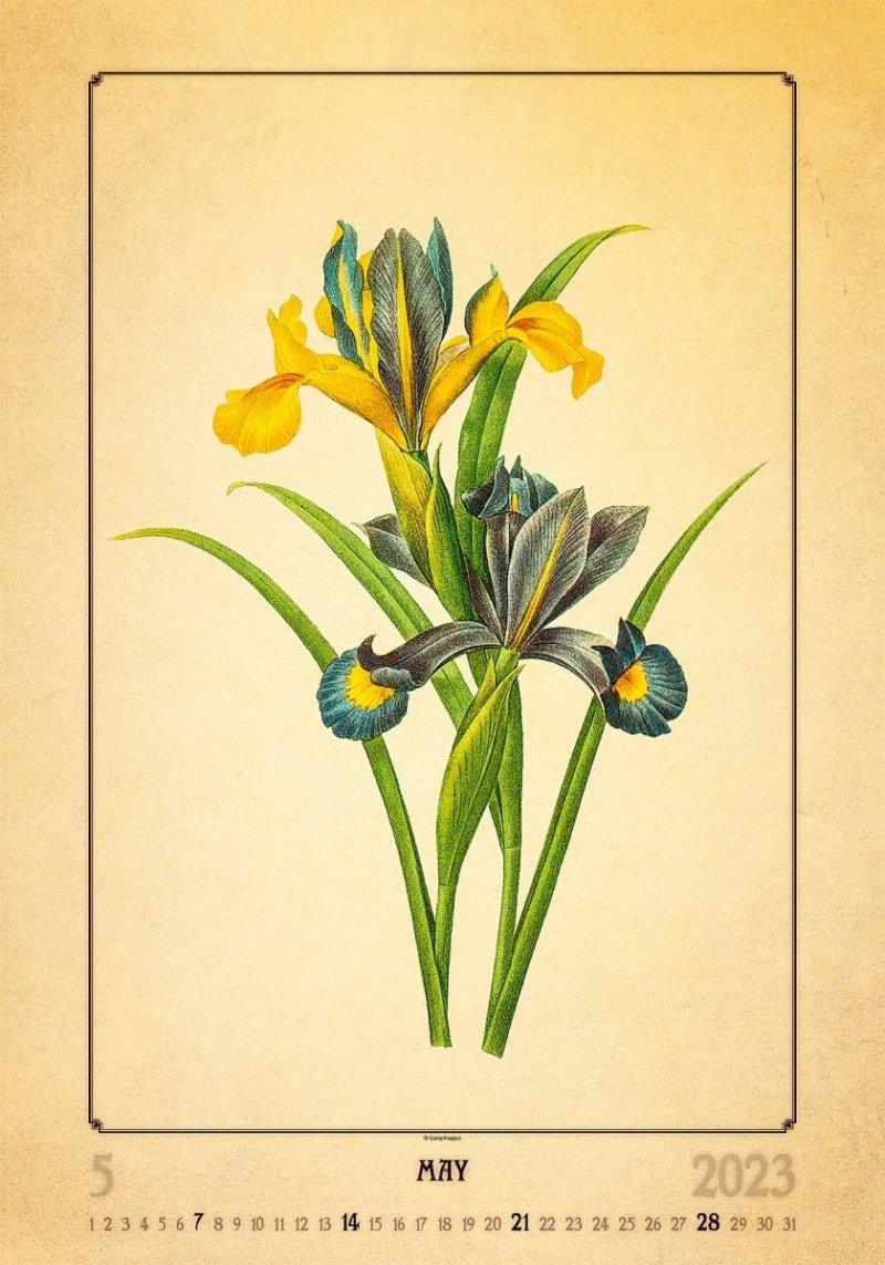 Kalendarz ścienny wieloplanszowy Herbarium 2023 - maj 2023