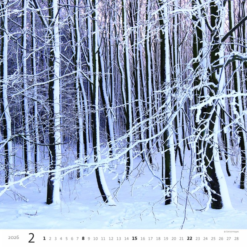 ścienny kalendarz na rok 2026, piękne fotografie 