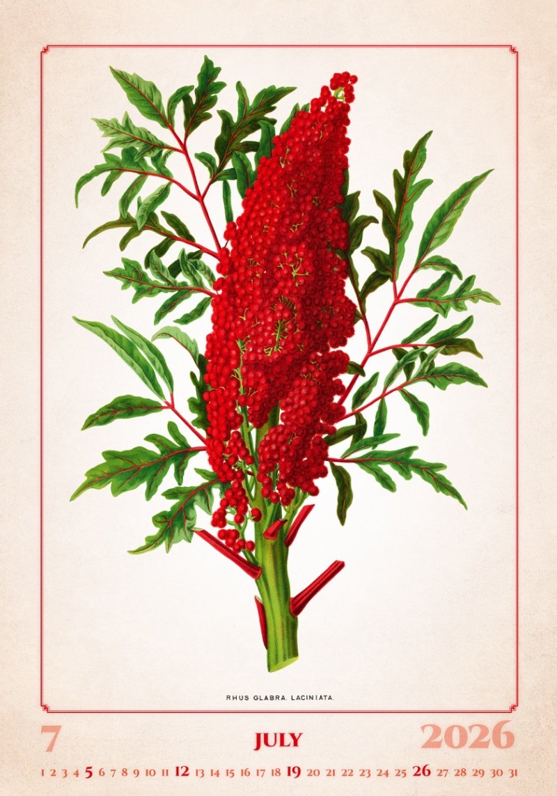 N144 Kalendarz ścienny wieloplanszowy Herbarium 2026