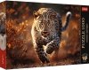 Trefl: Puzzle 1000el. - Premium Plus - Photo Odyssey - Dziki Leopard