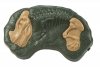 Interaktywny-Dinozaur-Velociraptor-RC-+-dźwięki-6