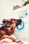 Mata LickiMat® Splash™ turkusowa
