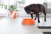 OH Bowl® Miska dbająca o higienę jamy ustnej psa Czarna rozmiar L