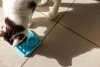 Mata LickiMat® Classic Kitty™ różowa
