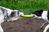 Kiwi Walker Let's Play! FRISBEE Maxi niebieskie