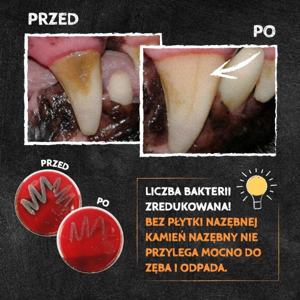 QCHEFS 2w1 Dental Charcoal CAT dla kota