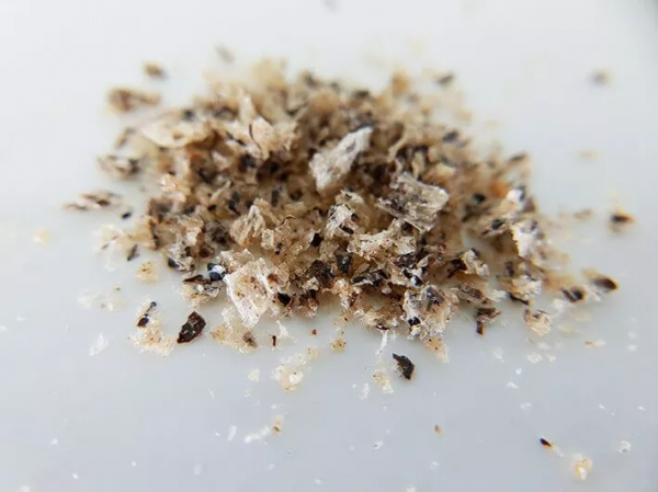 QCHEFS Dental Flakes + LickiMat® Splash™