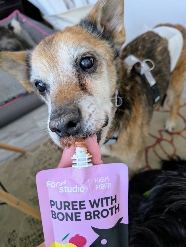 Food Studio Chefs PUREE dla psów WARZYWNO-OWOCOWE z marchewką, dynią, czarną porzeczką i kurkumą 150ml