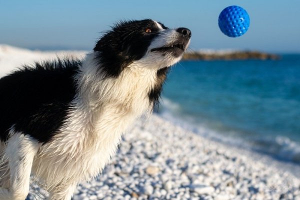 Kiwi Walker Let's Play BALL Mini piłka różowa