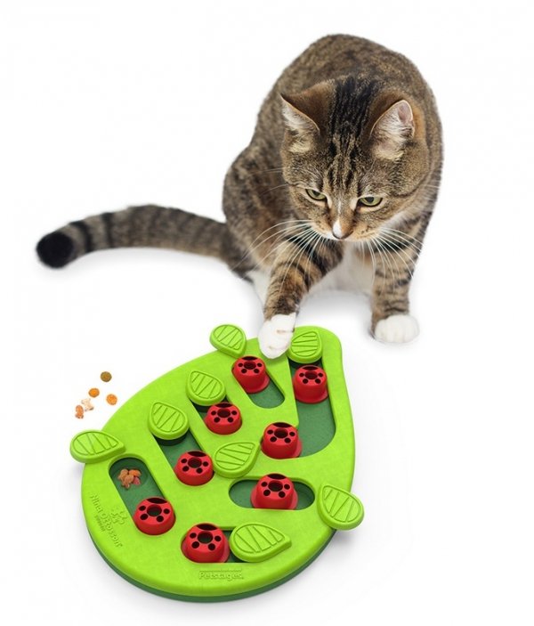 Nina Ottosson Cat Buggin' Out Puzzle &amp; Play - gra edukacyjna dla kotów