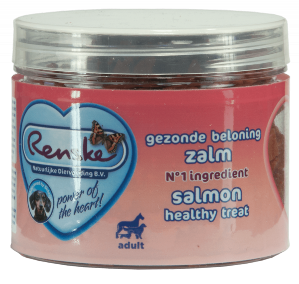 Renske Dog Healthy  Mini Treat Salmon – zdrowy mini przysmak dla psów - łosoś  100 g  