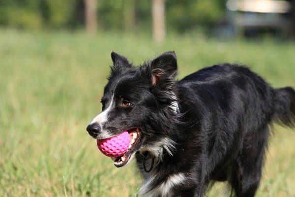 Kiwi Walker Let's Play BALL Mini piłka pomarańczowa