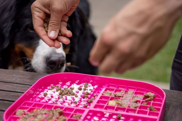 Mata LickiMat® Slomo™ XL turkusowa