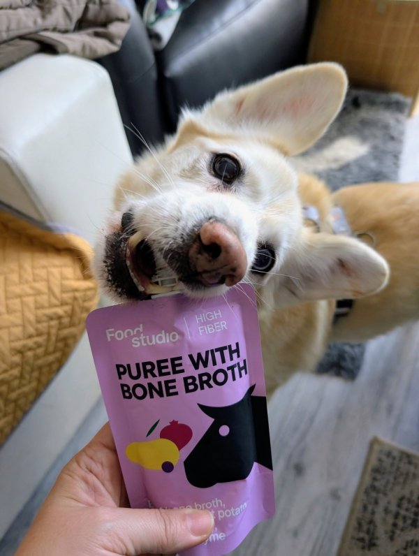 Zestaw SYLWESTROWY CHILL dla psa na uspokojnie