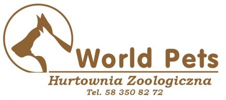 Strona główna