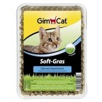 Gimcat 407128 Trawa Soft-Gras 100gr dla kota