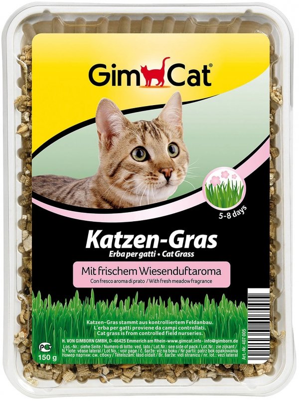 Gimcat 407005 Trawa dla kota grass 150gr