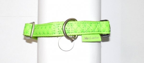 Zolux 435171ANI Obroża Mac Leather 15mm seledyn