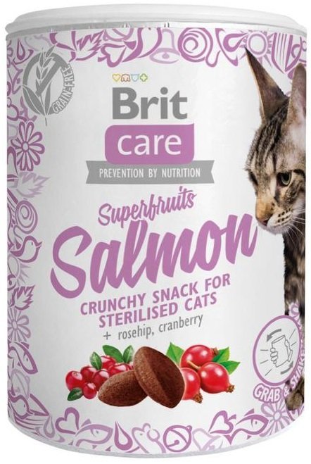 Brit Care Cat Snack Super Fruits Salmon 100g