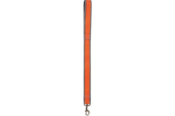 Zolux 462112ORA Smycz Summer 40mm/60cm orange*