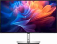 Monitor DELL 210-BMJF (24 /IPS /100Hz /1920 x 1200 /Czarno-srebrny ) 
