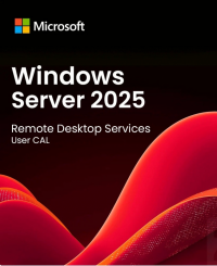 System operacyjny DELL Windows Server 2025 CAL 634-CVFJ 