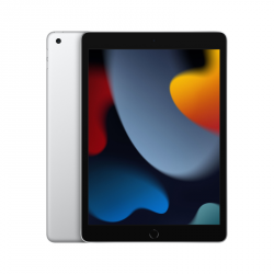 Tablet APPLE iPad 10.2 Wi-Fi 256 GB Silver (Srebrny) 10.2
