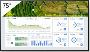 Monitor SONY FW-75BZ30L (75 /IPS /60Hz /3840 x 2160 /Czarny )