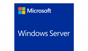 System operacyjny HP Windows Server 2019 EMEA P11078-A21